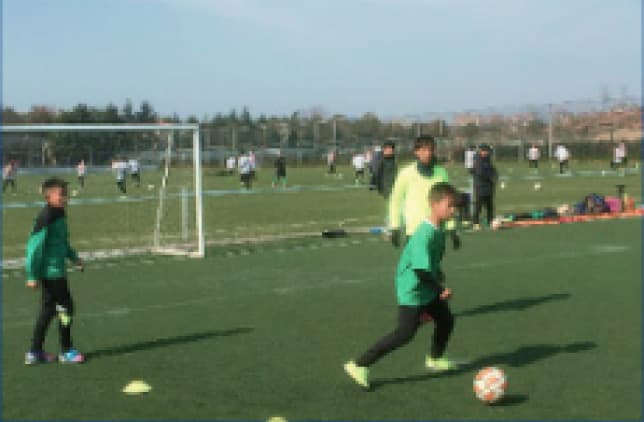 グローバル事業の活動内容