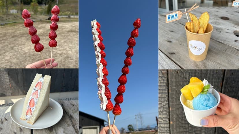 里山サロン出店情報(5月6日 高知戦)