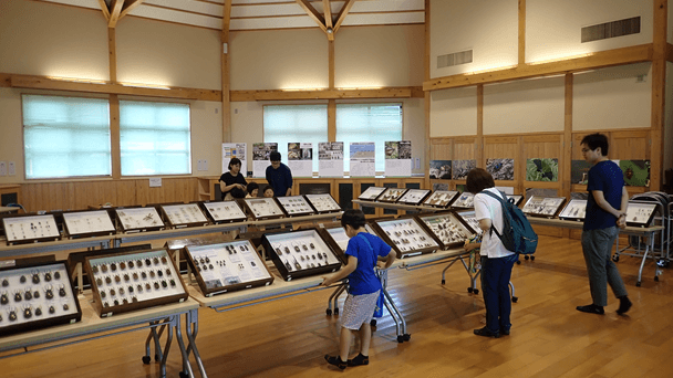 移動昆虫展(昆虫標本・生体の展示など)
